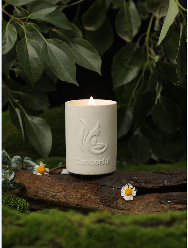 Mioriva Mioriva Ritual Candle No. 039 in a home fragrance setting